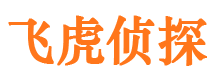 海北私家调查公司